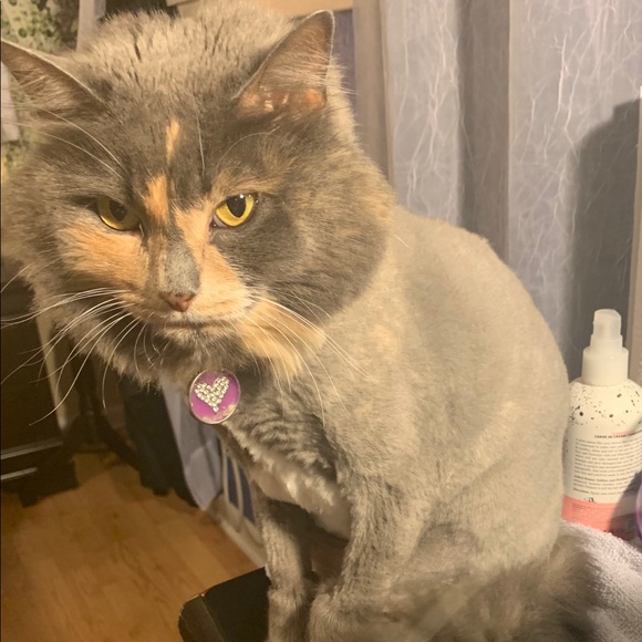 Meet your Posher, Kim - Picture 3 of 16